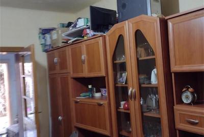 Casă cu 3 camere în Șega - 1