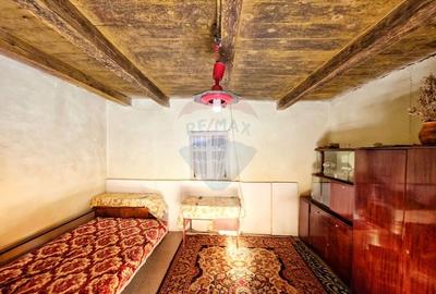 Casă individuală cu 4 camere cu Teren 10486 Mp în Ierșnic - 20