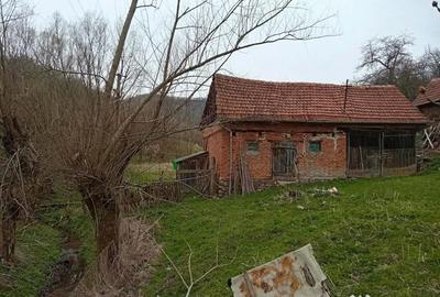 Casă cu 4 camere în Poieni (Densuș) - 12