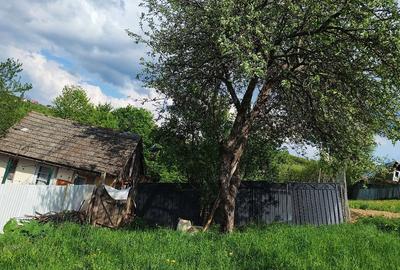 Casă cu Teren 4000 Mp în Hărman - 10