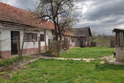 Casă cu 2 camere în Cetariu - 2