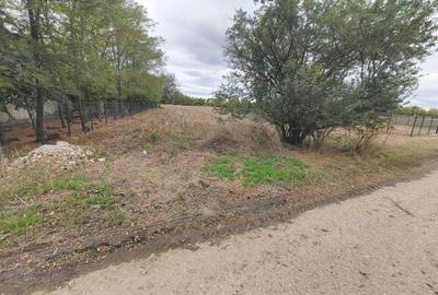 Teren de 3700 mp, în Bâra