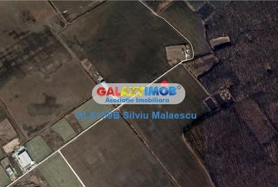 Teren Construcții intravilan de 8601 mp, în Sud - 3