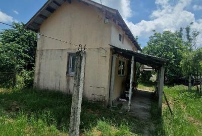 Casă individuală cu 2 camere cu Teren 2500 Mp în Sterea - 4