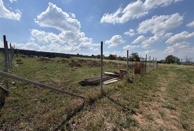 Teren intravilan de 586 mp, în Paleu - 1
