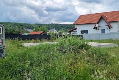 Teren de 437 mp, în Smeura - 6