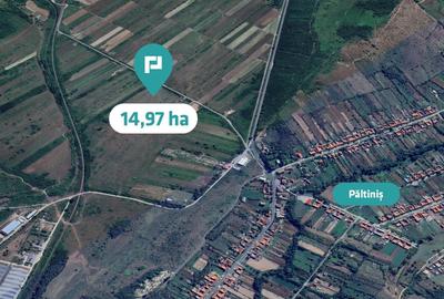 Teren agricol extravilan de 151874 mp, în Păltiniș - 1