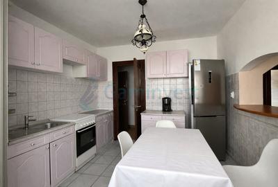 Apartament cu 4 camere decomandat, mobilat în Rogerius - 7