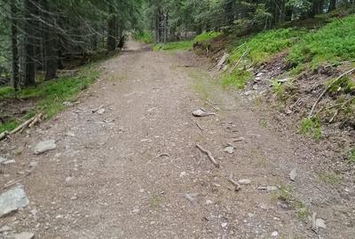 Teren de 25000 mp, în Central