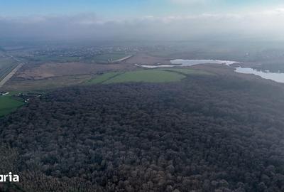 Teren de 16900 mp, în Grădiștea - 2