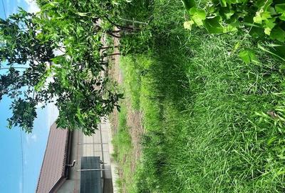 Casă cu Teren 890 Mp în Central