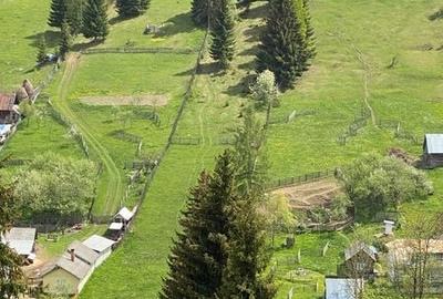Teren de 14300 mp, în Central
