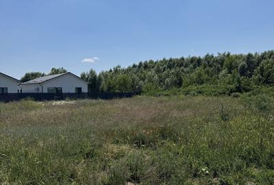 Teren de 500 mp, în Domnești