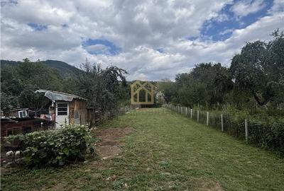 Casă cu 4 camere în Valea Borcutului
