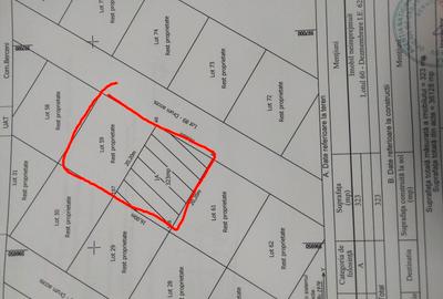 Teren agricol intravilan de 323 mp, în Berceni - 3