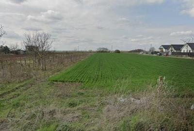 Teren de 2000 mp, în Joița - 3