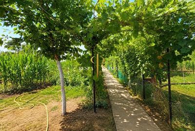 Casă cu Teren 1600 Mp în Iecea Mare