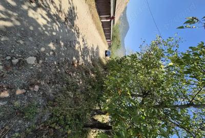 Teren de 3863 mp, în Vad - 5