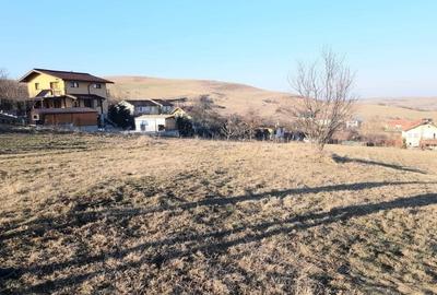 Teren Construcții intravilan de 602 mp, în Borhanci - 12
