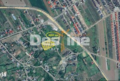 Teren de 8000 mp, în Miroslava