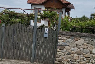 Casă cu 2 camere cu Teren 8000 Mp în Budieni - 10