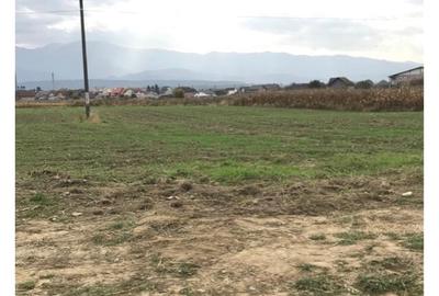 Teren de 2400 mp, în Central - 3