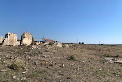 Teren intravilan de 12481 mp, în Mihail Kogălniceanu - 3
