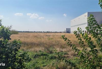 Teren de 25000 mp, în Vânători - 3