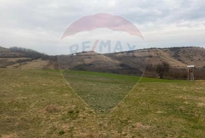 Teren Construcții de 3400 mp, în Crișeni - 1