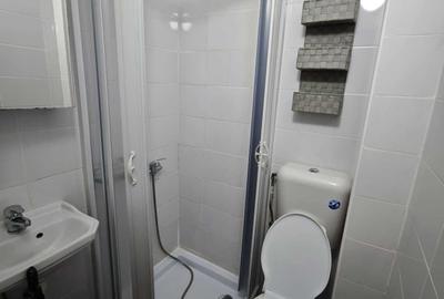 Garsonieră decomandată în Ozana - 6