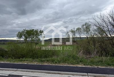 Teren Construcții intravilan de 1738 mp, în Jucu de Sus - 1