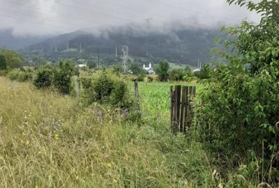 Teren de 1706 mp, în Stejaru (Pângărați) - 2