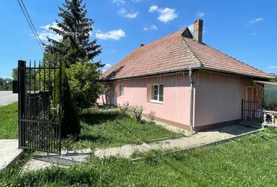 Casă cu 3 camere cu Teren 2800 Mp în Iris - 3