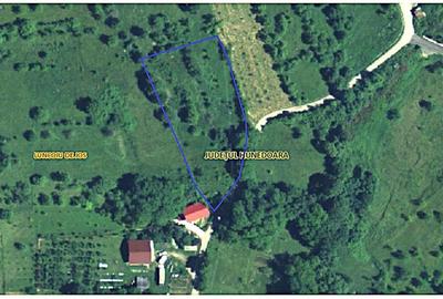 Teren Construcții intravilan de 3282 mp, în Luncoiu de Sus - 2