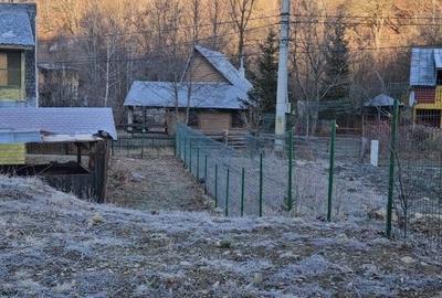 Teren de 800 mp, în Beba Veche