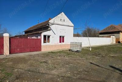 Casă cu Teren 980 Mp în Satchinez - 3