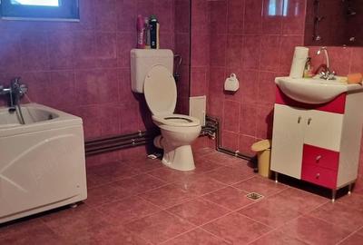 Casă cu 7 camere cu Teren 5000 Mp în Siliștea - 3