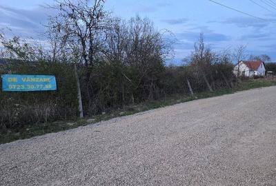 Teren de 1000 mp, în Dealuri Oradea