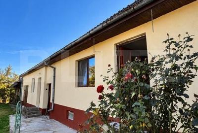 Casă cu 2 camere în Pănade