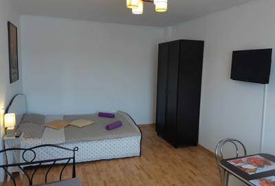 Garsonieră decomandată în Terezian - 7