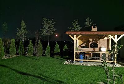 Casă cu 4 camere cu Teren 7000 Mp în Ulmi - 4
