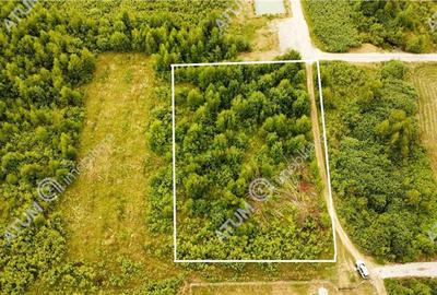 Teren Construcții intravilan de 3900 mp, în Porumbacu de Sus - 6