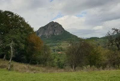 Teren de 8500 mp, în Hărțăgani - 10