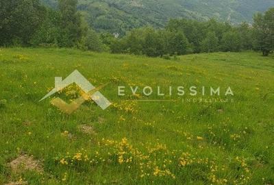 Teren Construcții intravilan de 11396 mp, în Moieciu de Jos - 5