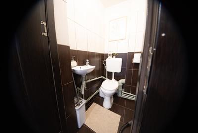 Apartament cu 2 camere decomandat, mobilat în P-ța Alba Iulia - 16