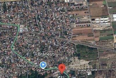 Spațiu comercial, în Brănești - 3