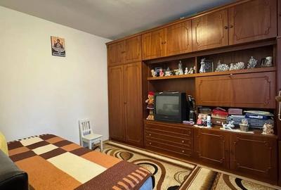 Casă cu 3 camere cu Teren 4000 Mp în Letca Nouă - 2