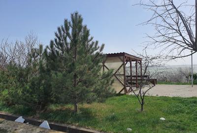 Apartament cu 2 camere decomandat, mobilat în Mamaia-Sat - 26