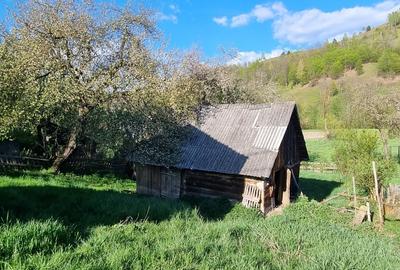 Casă individuală cu 2 camere cu Teren 677 Mp în Mușca - 6