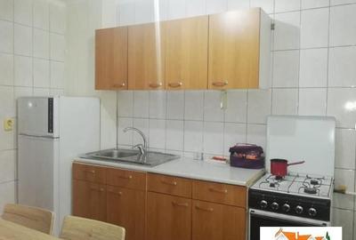 Apartament cu 2 camere semidecomandat în Cetate - 2